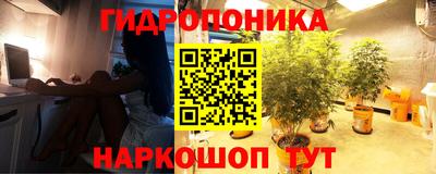 ешки Пушкино