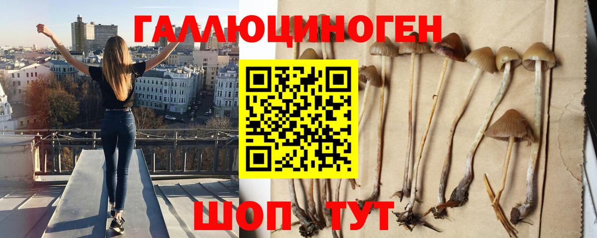 Псилоцибиновые грибы ЛСД Партизанск